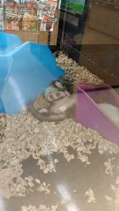 Petco Picture 1