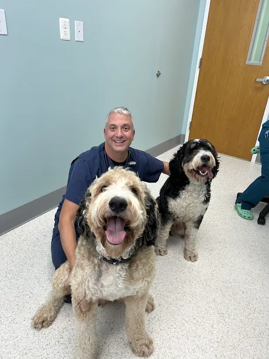 Willow Animal Hospital LLC Picture 1