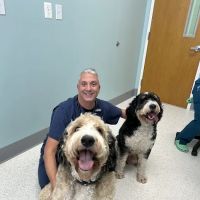 Willow Animal Hospital LLC ico