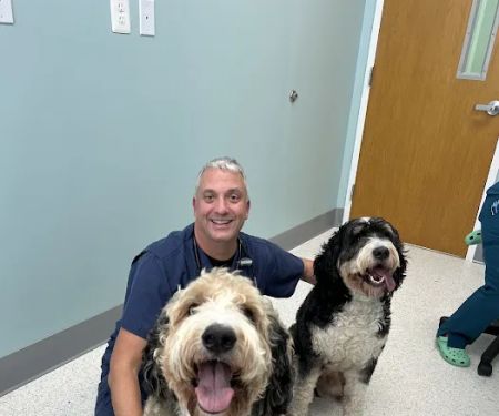 Willow Animal Hospital LLC