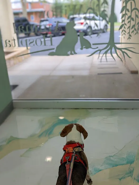 Willow Animal Hospital LLC Picture 8