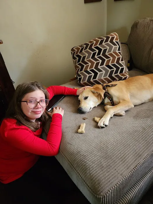 Willow Animal Hospital LLC Picture 2