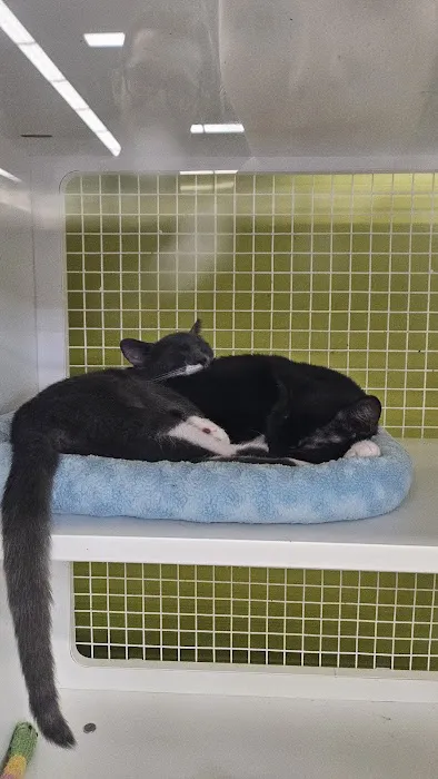 Petco Picture 1