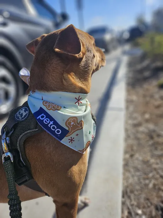 Petco Picture 8