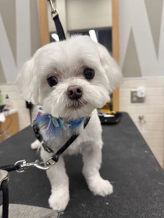 Petco Picture 7