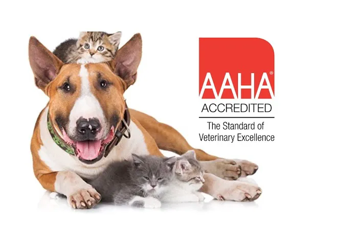 Clevengers Corner Veterinary Care Picture 4