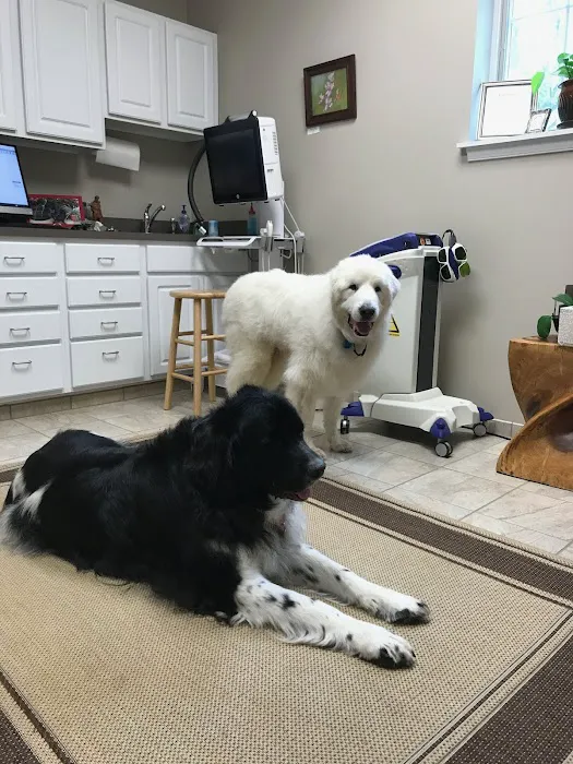 Clevengers Corner Veterinary Care Picture 3