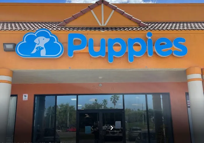Blue Sky Puppies Orlando Picture 2