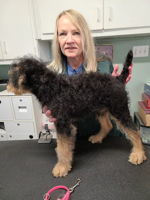 North Oatlands Animal Hospital Picture 3