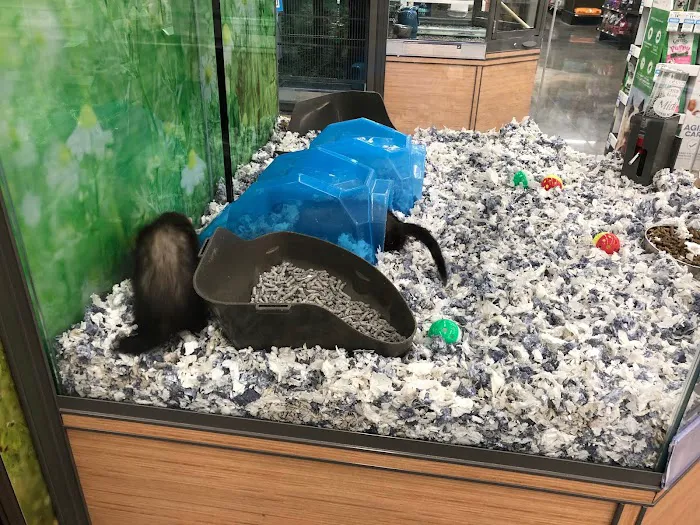 Petco Picture 8