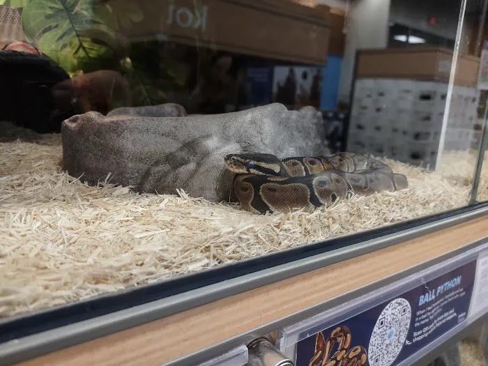 Petco Picture 10