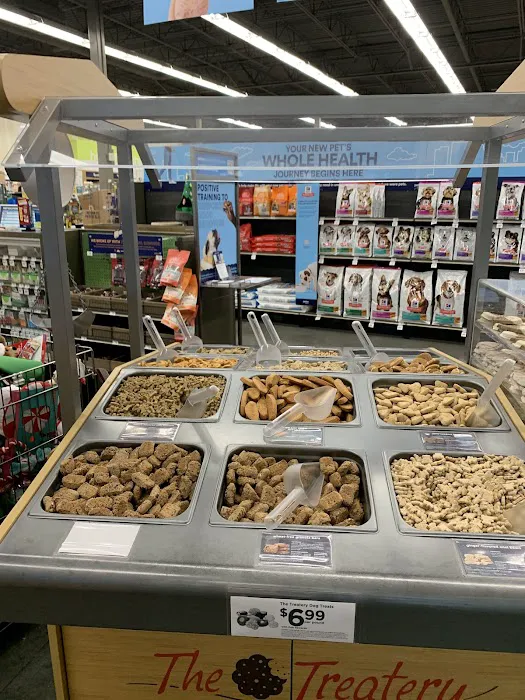 Petco Picture 2