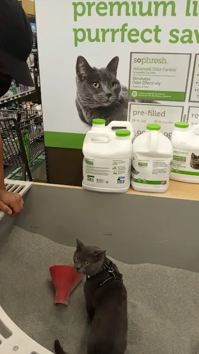 Petco Picture 5