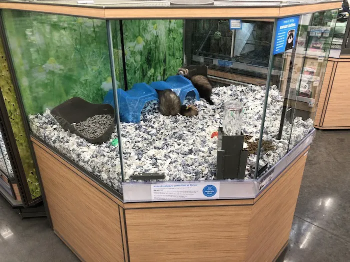 Petco Picture 3