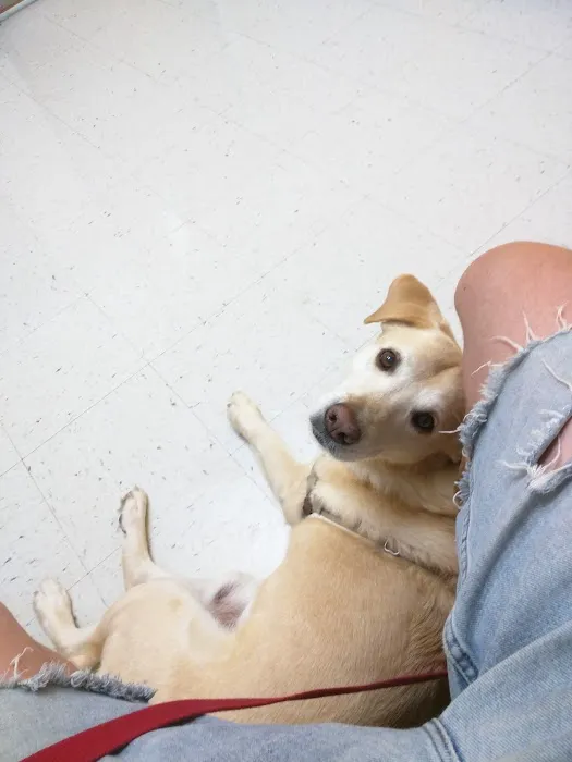 Banfield Pet Hospital Picture 3