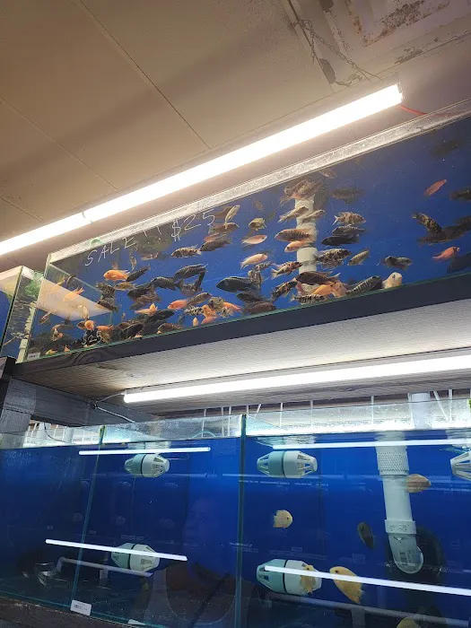 Crabbi Patti's Aquarium Shop Picture 4