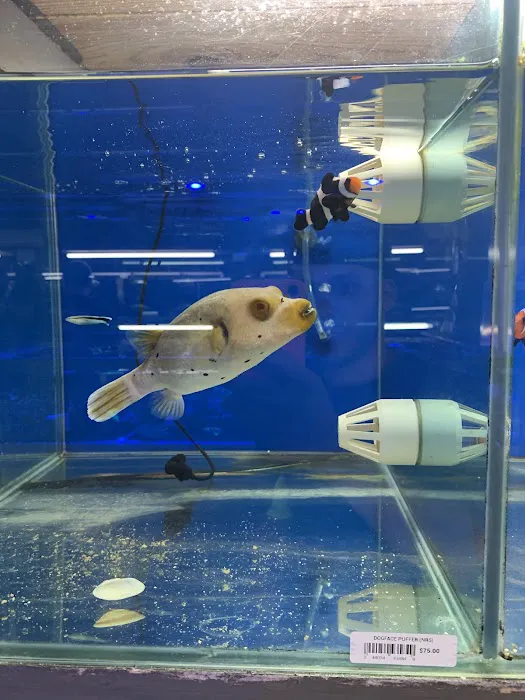 Crabbi Patti's Aquarium Shop Picture 10