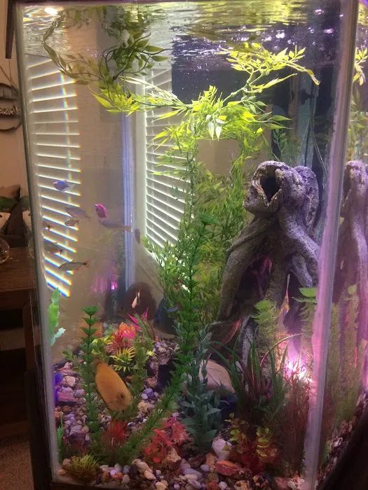 Crabbi Patti's Aquarium Shop Picture 2