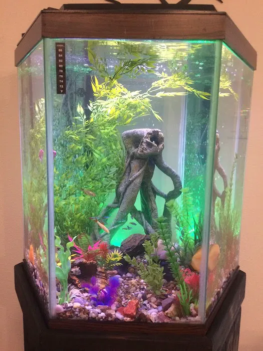 Crabbi Patti's Aquarium Shop Picture 1