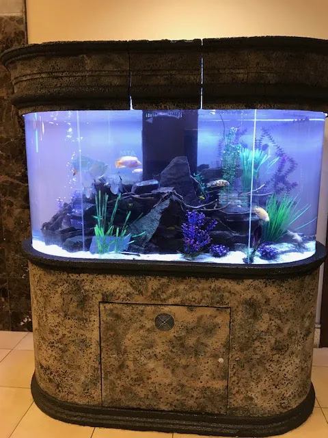 Crabbi Patti's Aquarium Shop Picture 8