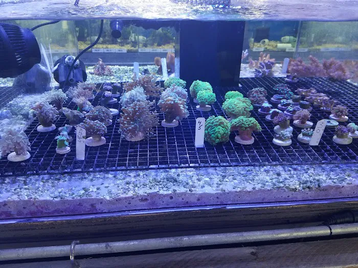 Crabbi Patti's Aquarium Shop Picture 3