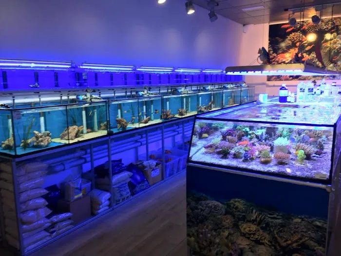 Crabbi Patti's Aquarium Shop Picture 6
