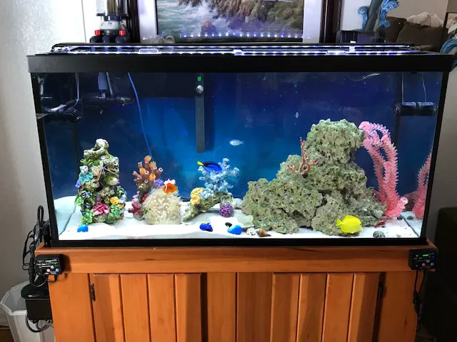 Crabbi Patti's Aquarium Shop Picture 9