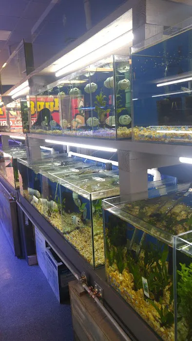 Crabbi Patti's Aquarium Shop Picture 7