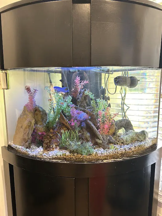Reefs A Lot Picture 6
