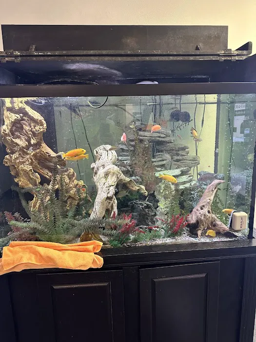 Reefs A Lot Picture 4