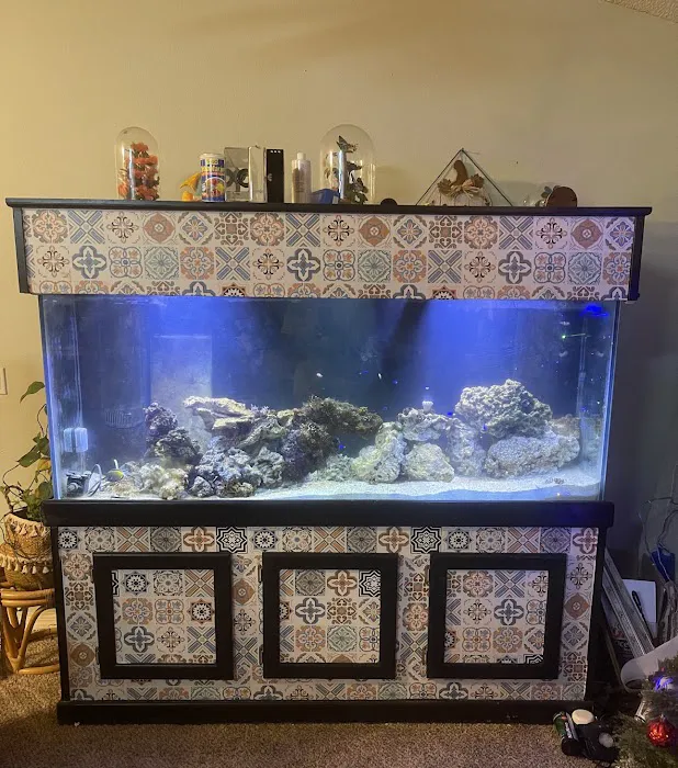 Reefs A Lot Picture 9