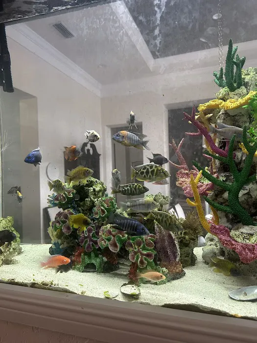 Reefs A Lot Picture 2