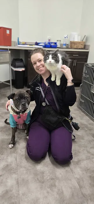 Summit Veterinary Care Picture 2