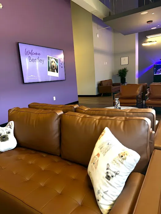 Summit Veterinary Care Picture 10