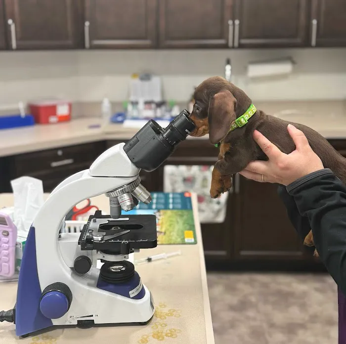 Summit Veterinary Care Picture 8