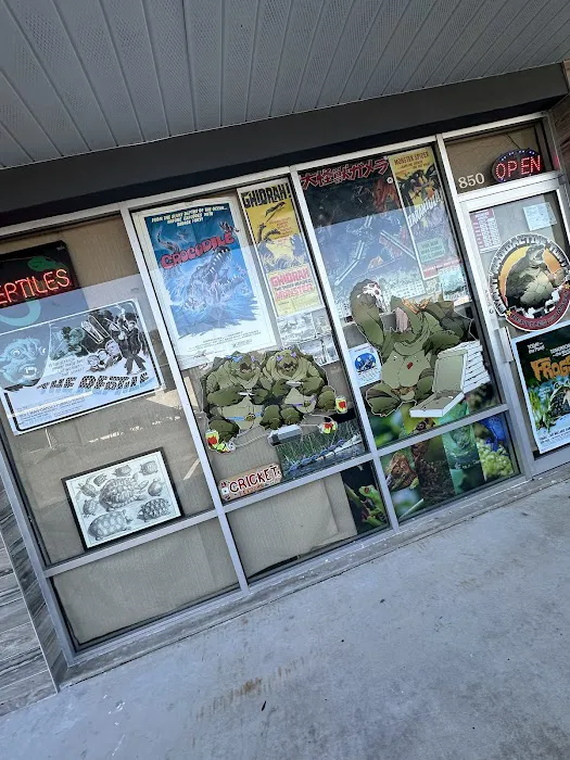 Giant Radioactive Turtle, Reptiles and More! Picture 4