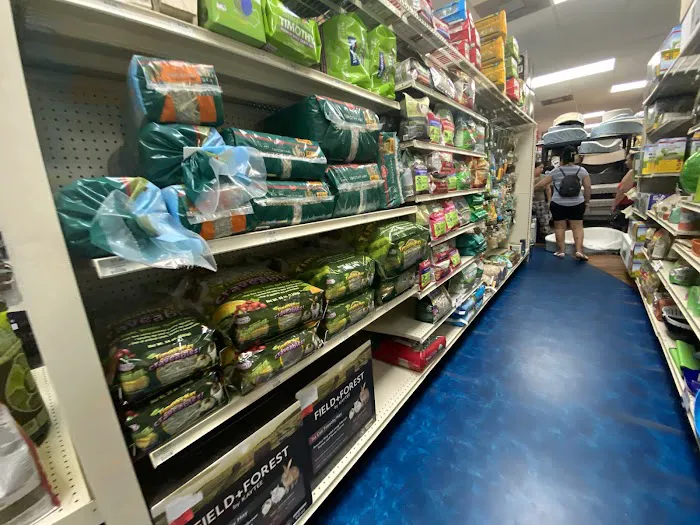 Pet Supermarket Picture 5