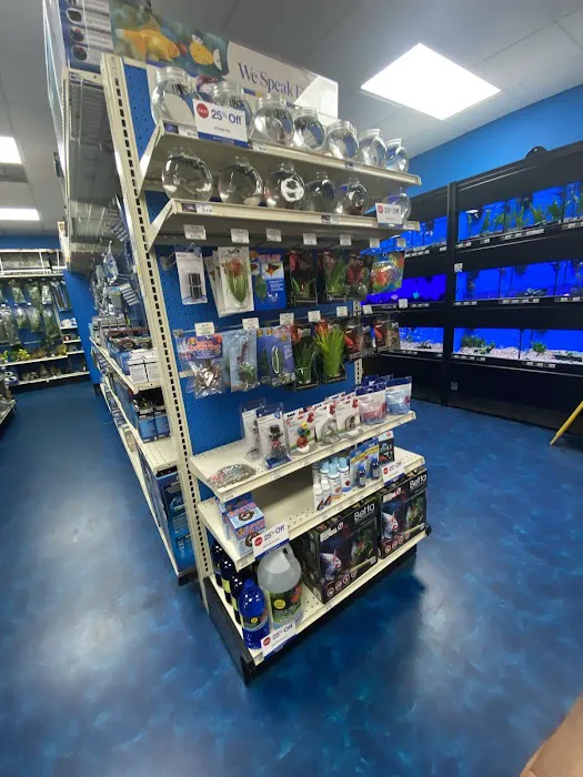 Pet Supermarket Picture 4