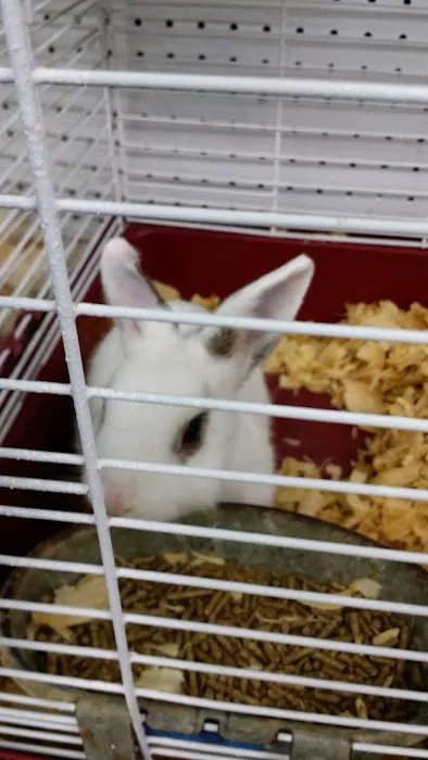 Pet Supermarket Picture 1