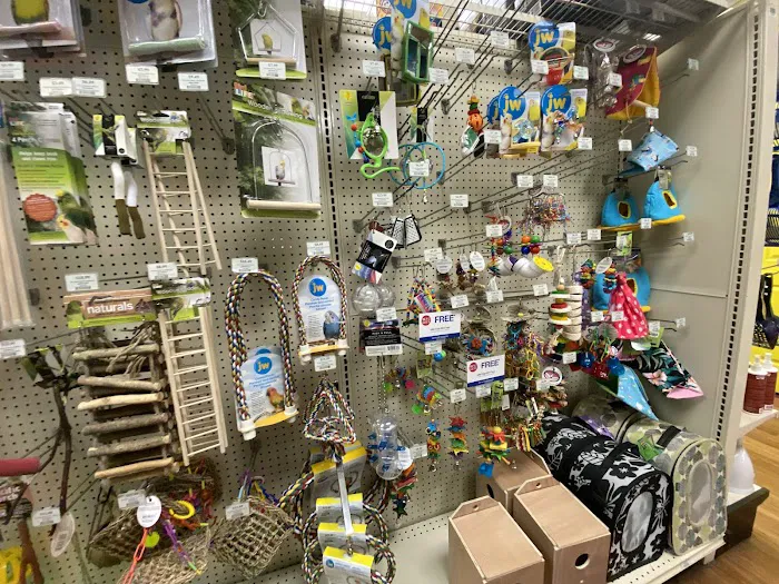 Pet Supermarket Picture 10