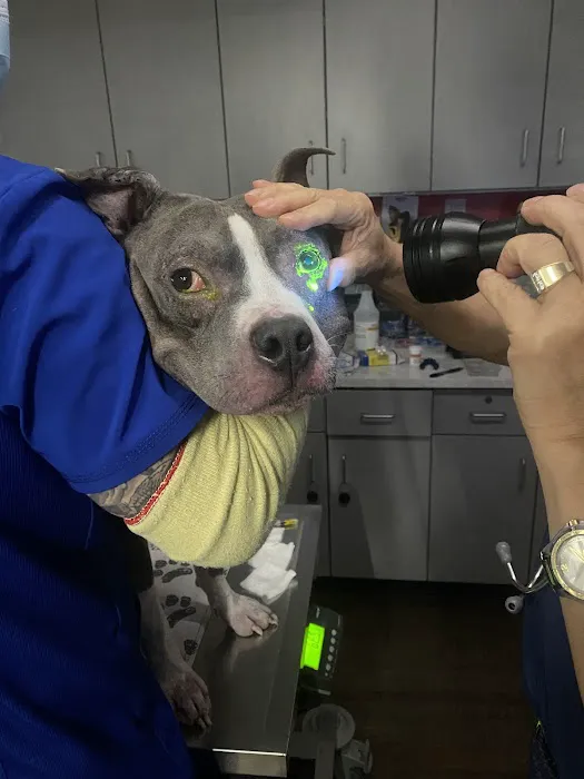 PetVet Vaccination Clinic Picture 6