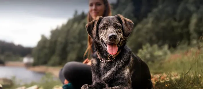 Best Pet Rx Picture 1