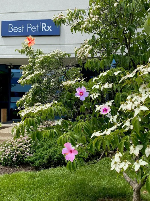 Best Pet Rx Picture 3
