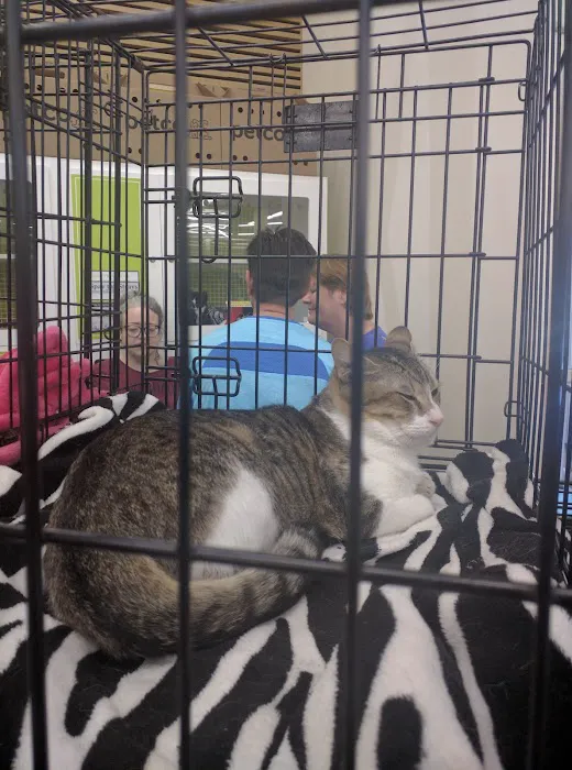 Petco Picture 4