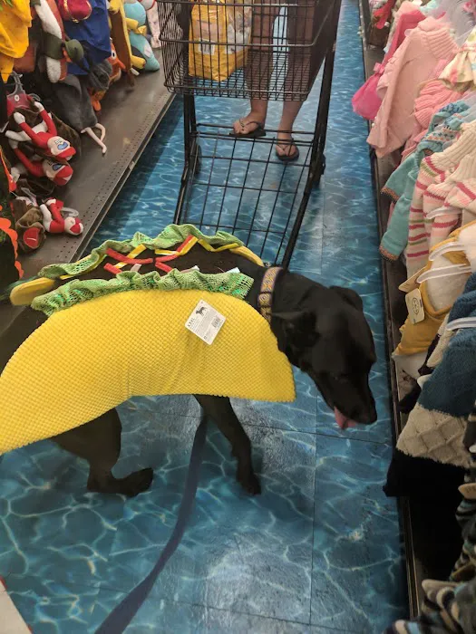 Petco Picture 5