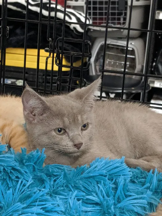 Petco Picture 6
