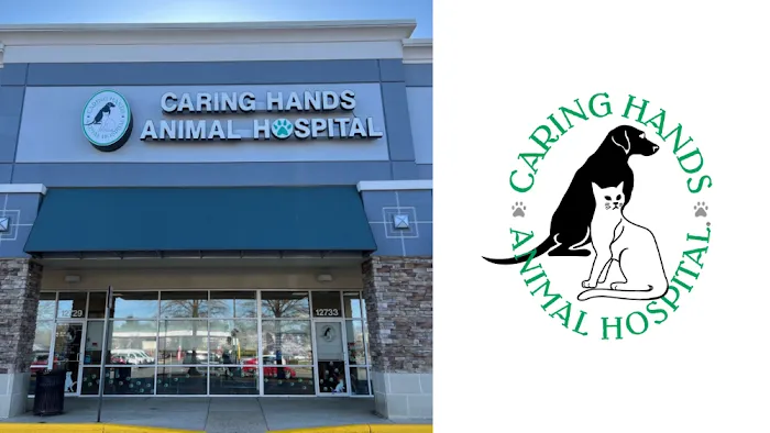 Caring Hands Animal Hospital - Bristow Picture 10