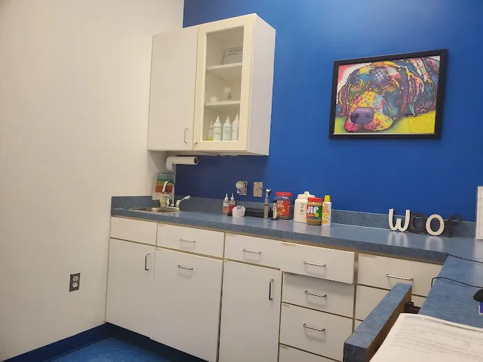 Caring Hands Animal Hospital - Bristow Picture 4