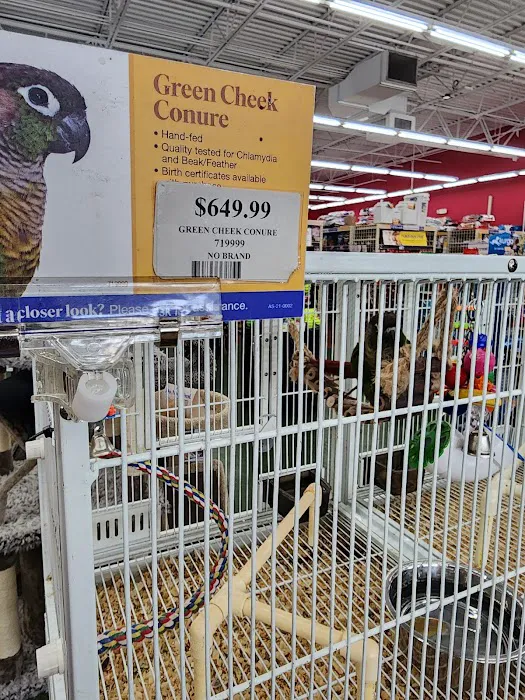 Pet Supermarket Picture 4
