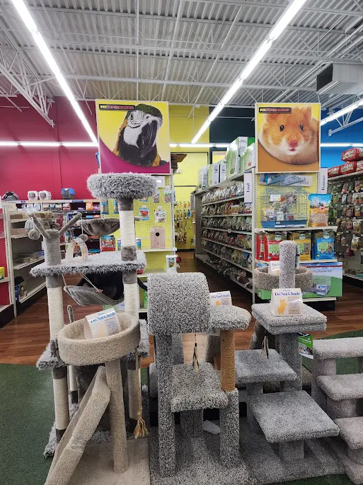 Pet Supermarket Picture 2